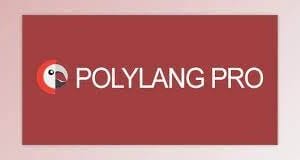 Polylang Pro – Multilingual Plugin