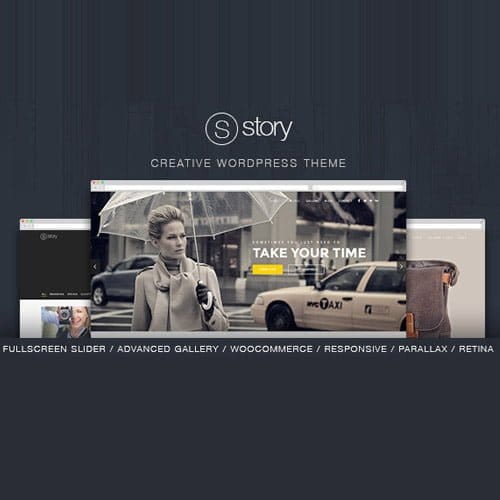 Story-Creative-Responsive-Multi-Purpose-Theme.jpg