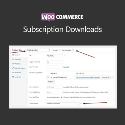 WooCommerce-Subscription-Downloads.jpg